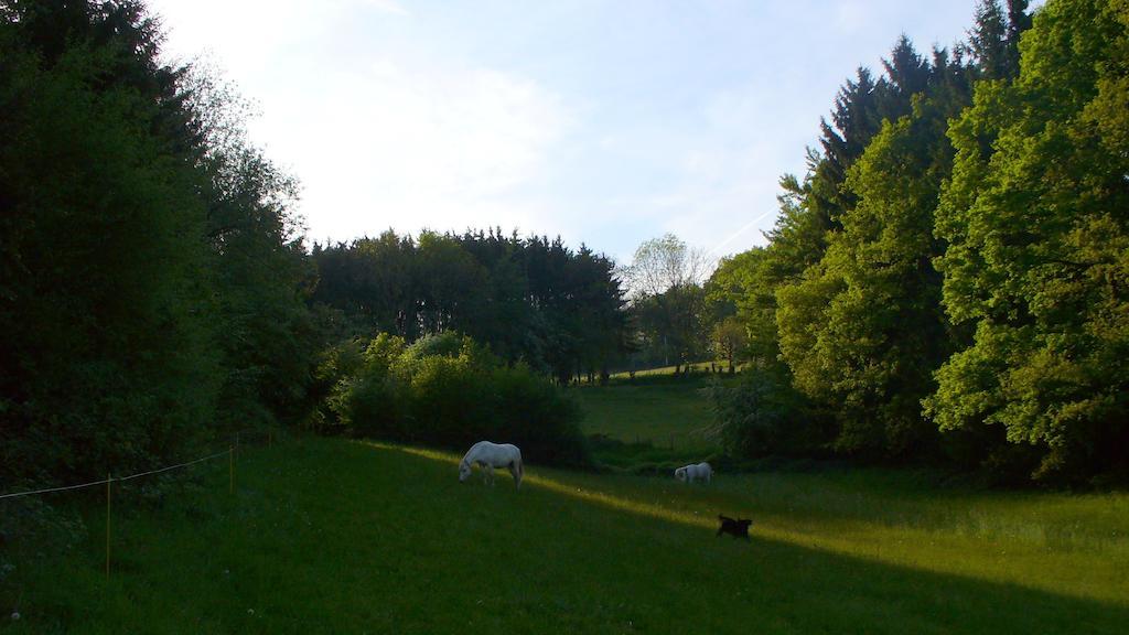 Chateau De Hodbomont Theux Buitenkant foto